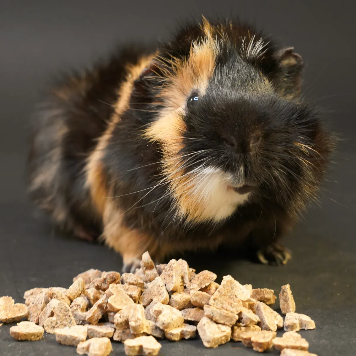 Bunny Nature My Little Sweetheart Cookies koekjes paardenbloem