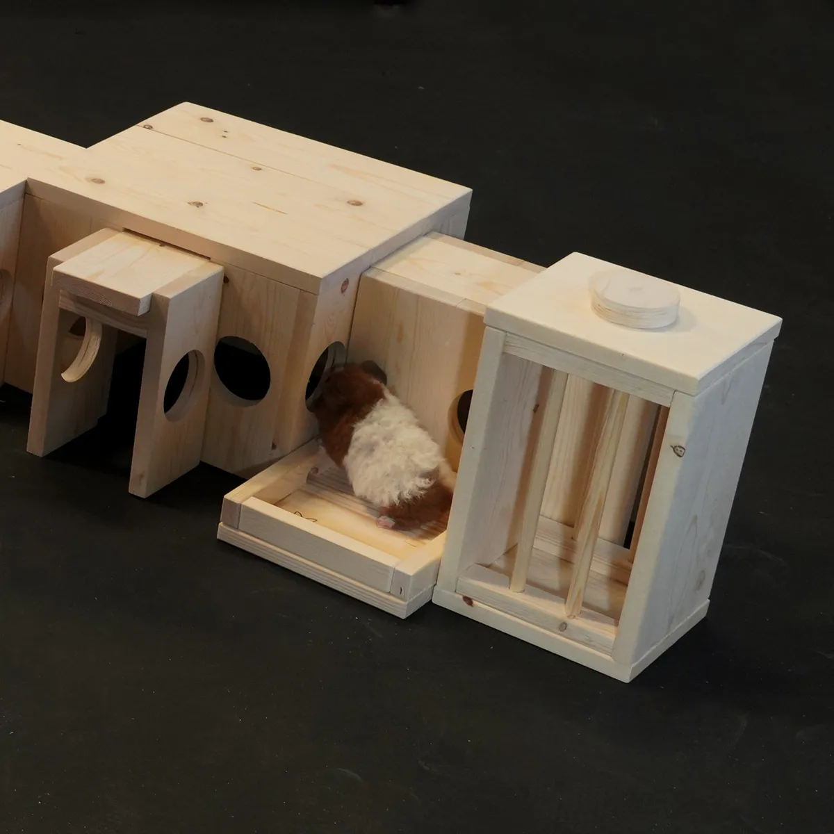 Jouw Cavia Hooiruif Vali houten ruif onbehandeld