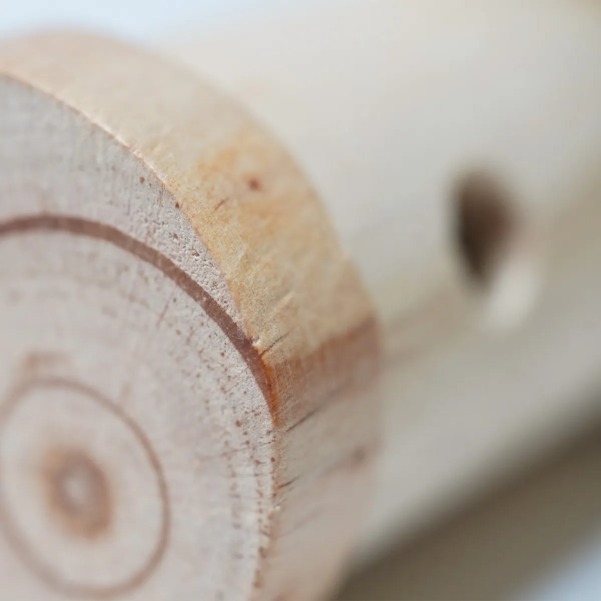 Jouw Konijn Originals Throw & Find Wood denkspel beginnershout