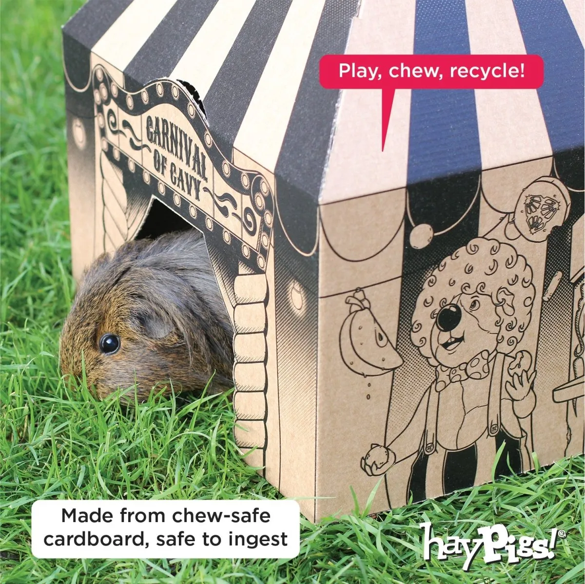 HayPigs Pig Top Playhouse schuilhuis 3 stuks karton 33cm
