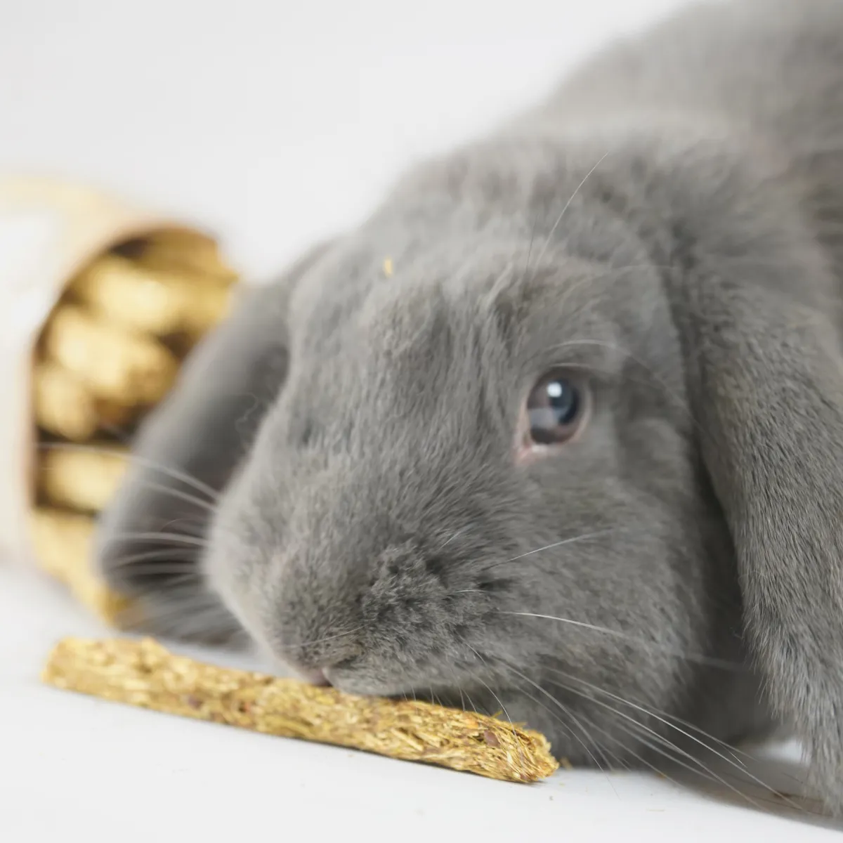 Jouw Konijn Originals Knabbelsticks snack voor konijn vezelrijk