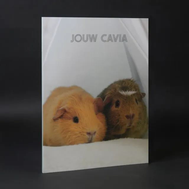 Jouw Cavia boek verzorging huisvesting en voeding