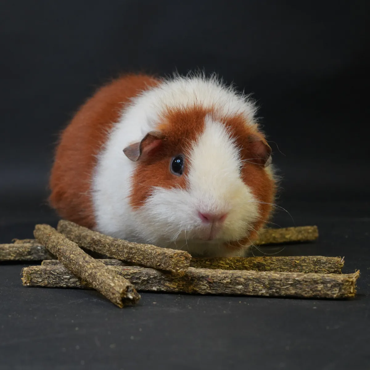 Jouw Cavia Naturals knaagsnack set van 7 vezelrijk