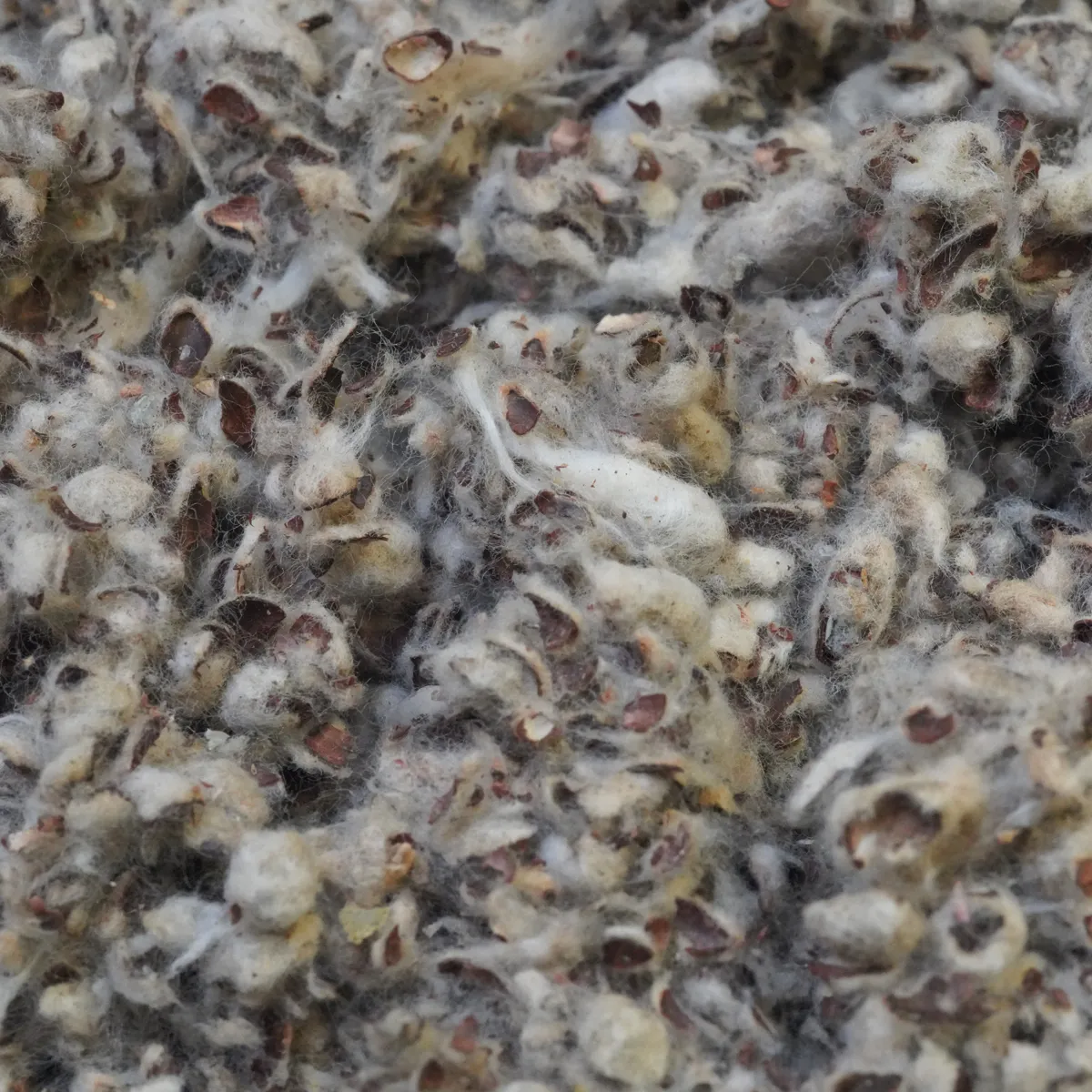 Jouw Cavia Cotton Bedding bodembedekking stofarm