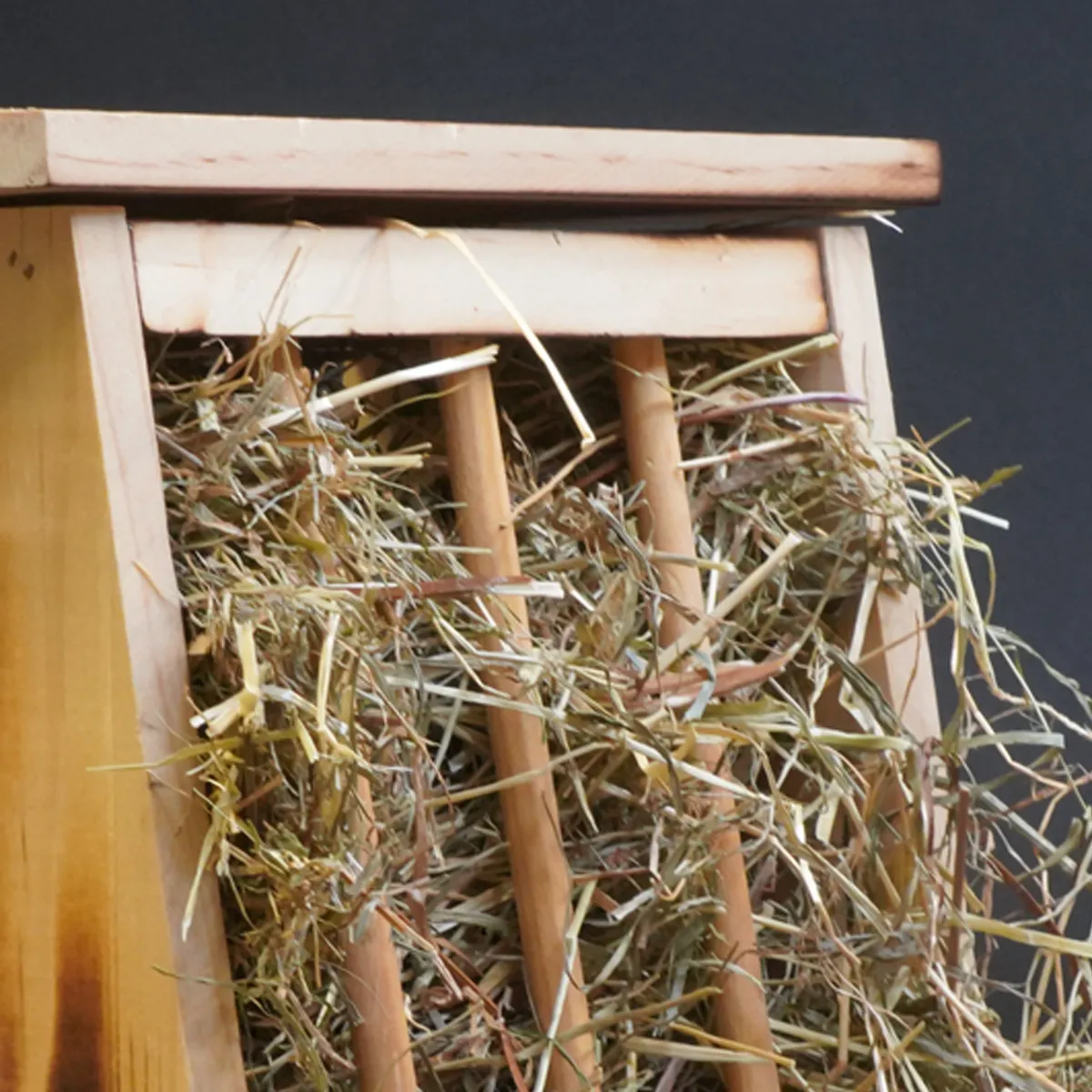Jouw Cavia Hay Stand Square hooiruif hout harsvrij