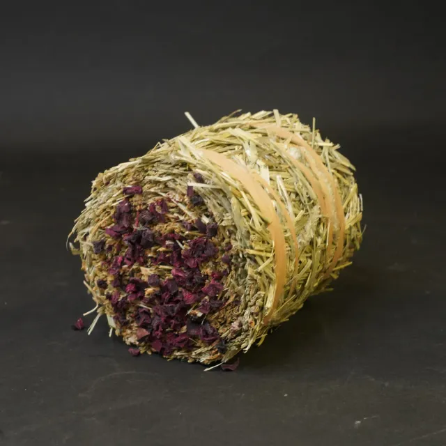 Jouw Cavia Hay Cake Rode Biet hooikoek vezelrijk