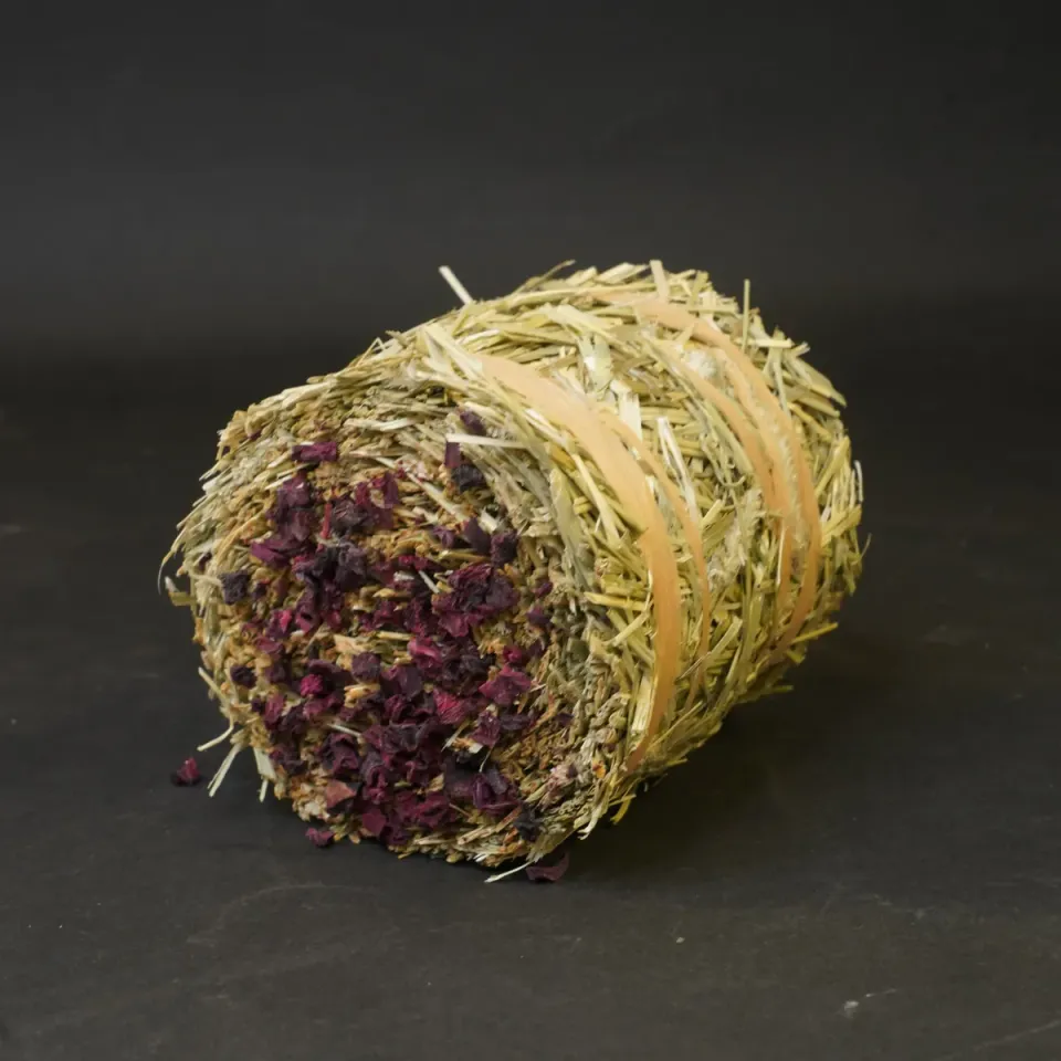 Jouw Cavia Hay Cake Rode Biet hooikoek vezelrijk