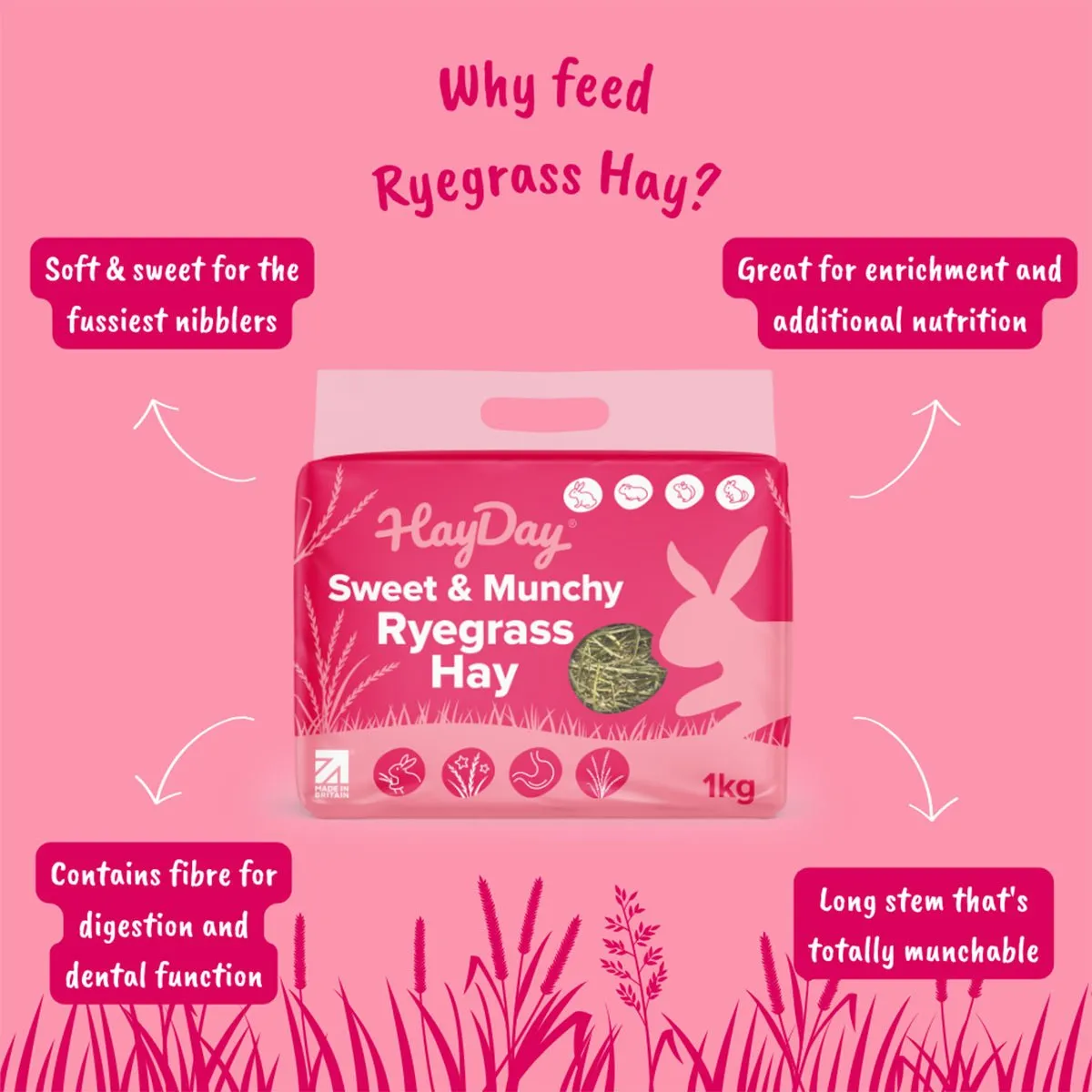 HayPigs HayDay Sweet & Munchy hooi 1kg zoet raaigras