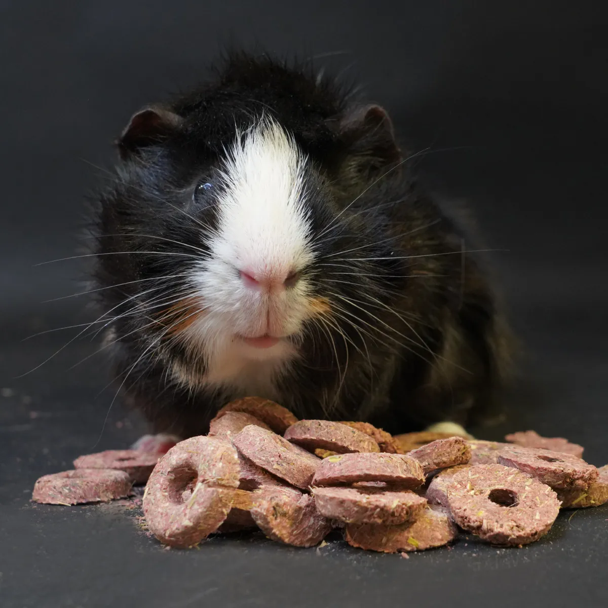 Jouw Cavia Naturals Woodland Loops snack voor cavia vezelrijk