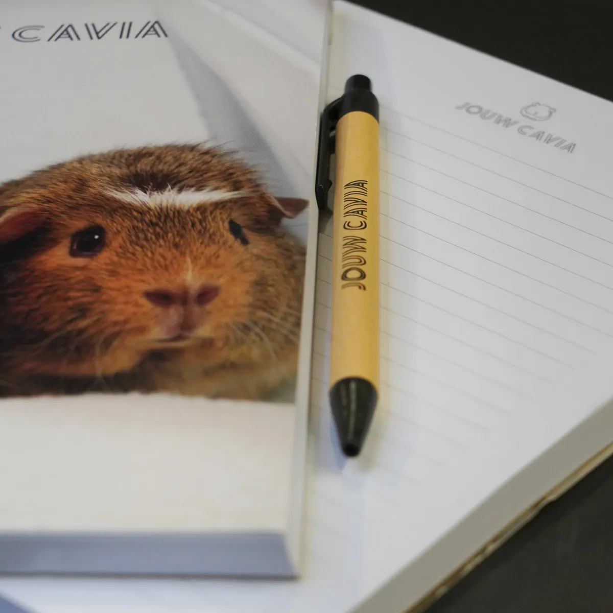 Jouw Cavia Notebook notitieboek met pen cavia