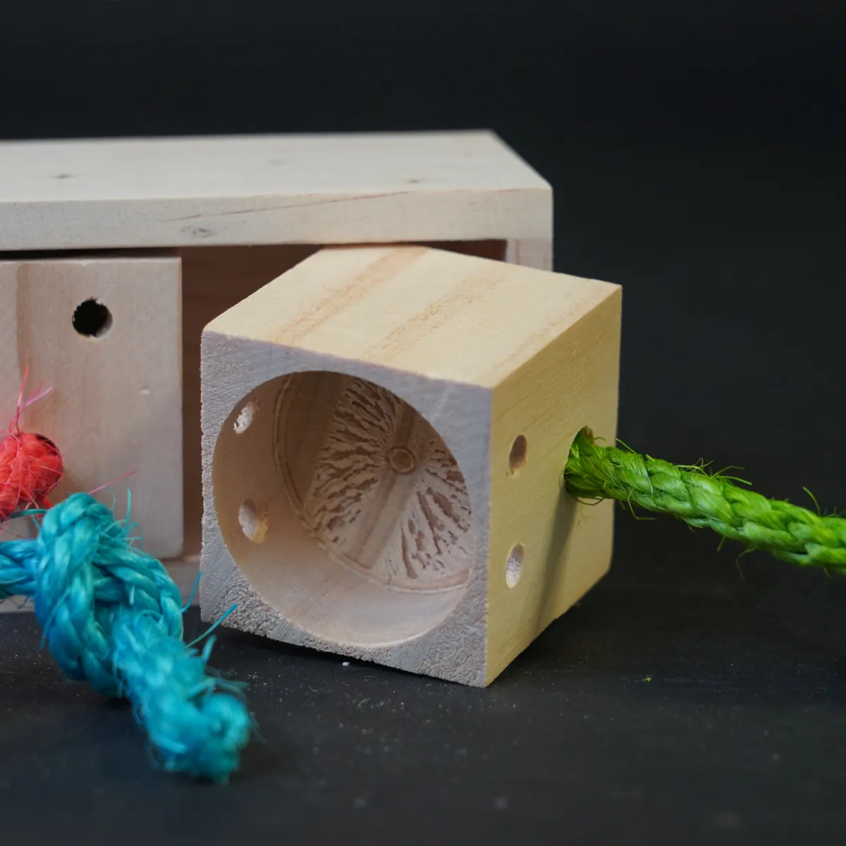 Jouw Cavia Pull & Find Wood denkspel hout puzzel