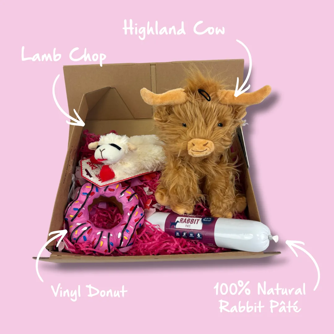 Nature First Love Box hondenspeelgoed set 4-delig