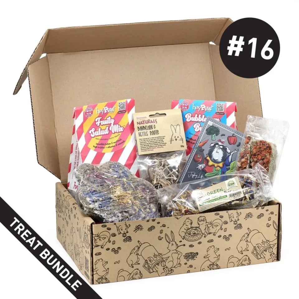 HayPigs Treat Box #16 snackbox voor cavia's 7-delig