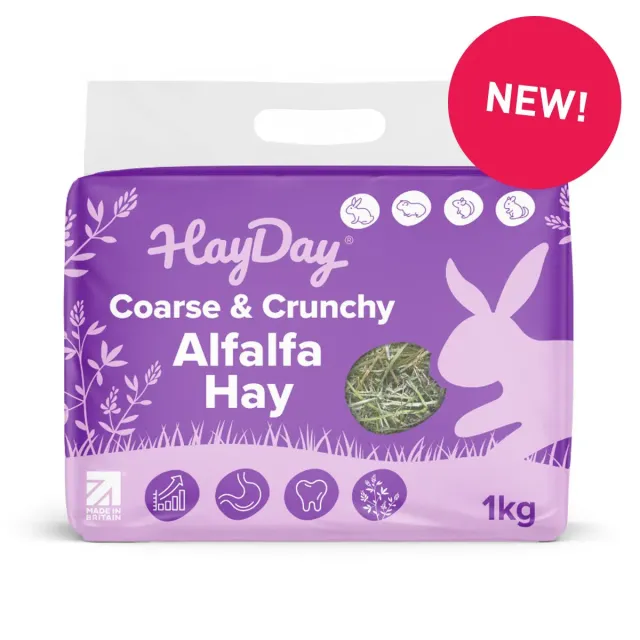 HayPigs HayDay Alfalfa hooi 1kg calciumrijk