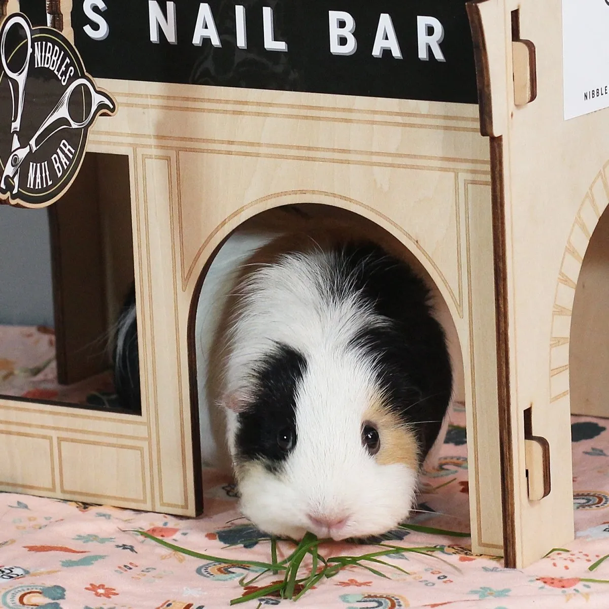 HayPigs Guinea Pig Village Nibbles Nail Bar schuilhuis hout
