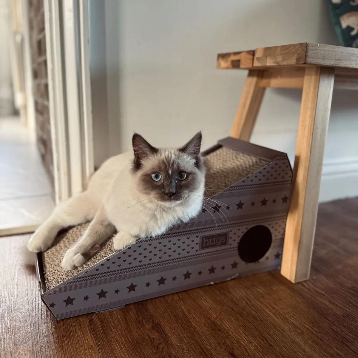 Nature First Ramp Cardboard krabplank karton met catnip