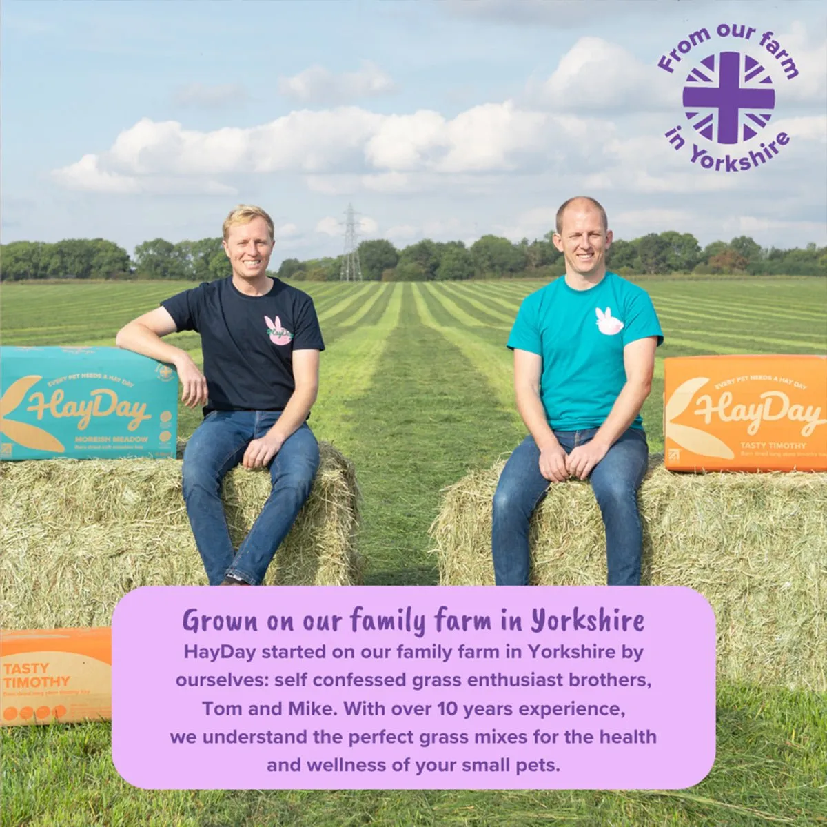 HayPigs HayDay Alfalfa hooi 1kg calciumrijk