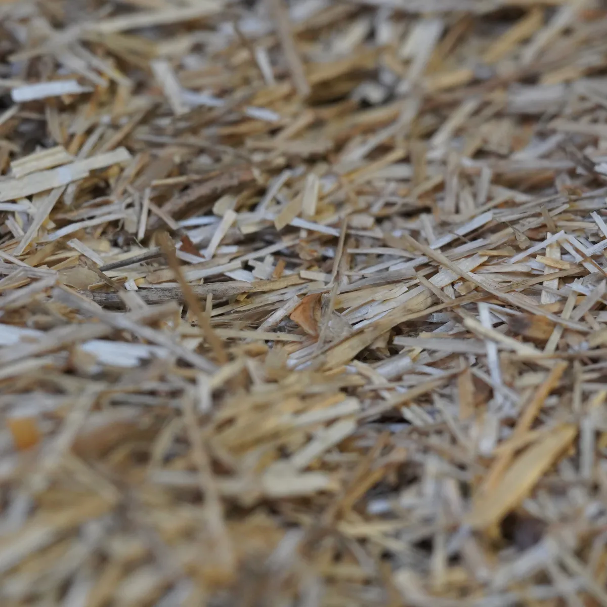 Jouw Cavia Linum Bedding bodembedekking anti-ammoniakgeur