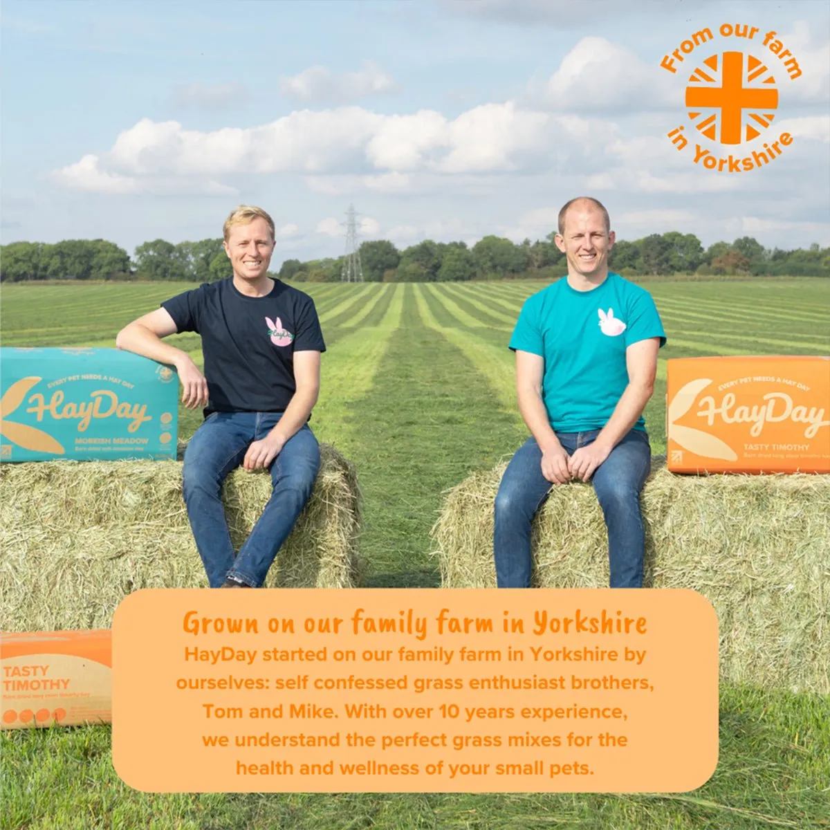 HayPigs HayDay Timothy hooi voor cavia's 1 kg