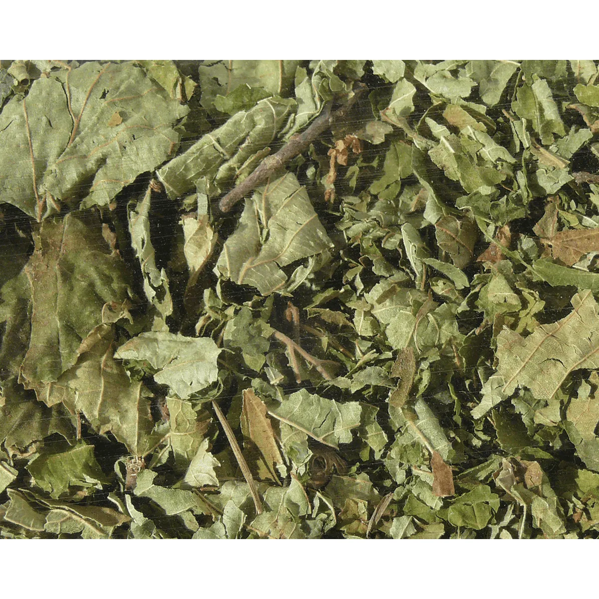 Bounty Paradise Hazelnootbladeren snack 80 gram