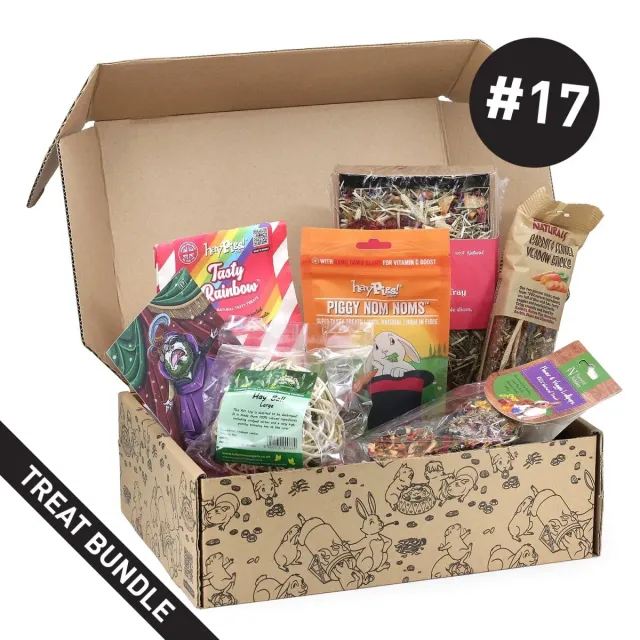 HayPigs Treat Box 17 cavia snackbox cadeau eenmalig