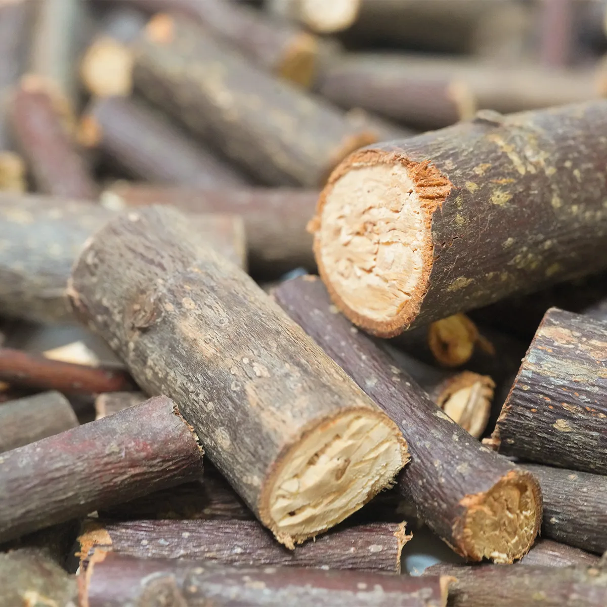 Jouw Konijn Originals Knabbelhout linde knaaghout natuurlijk
