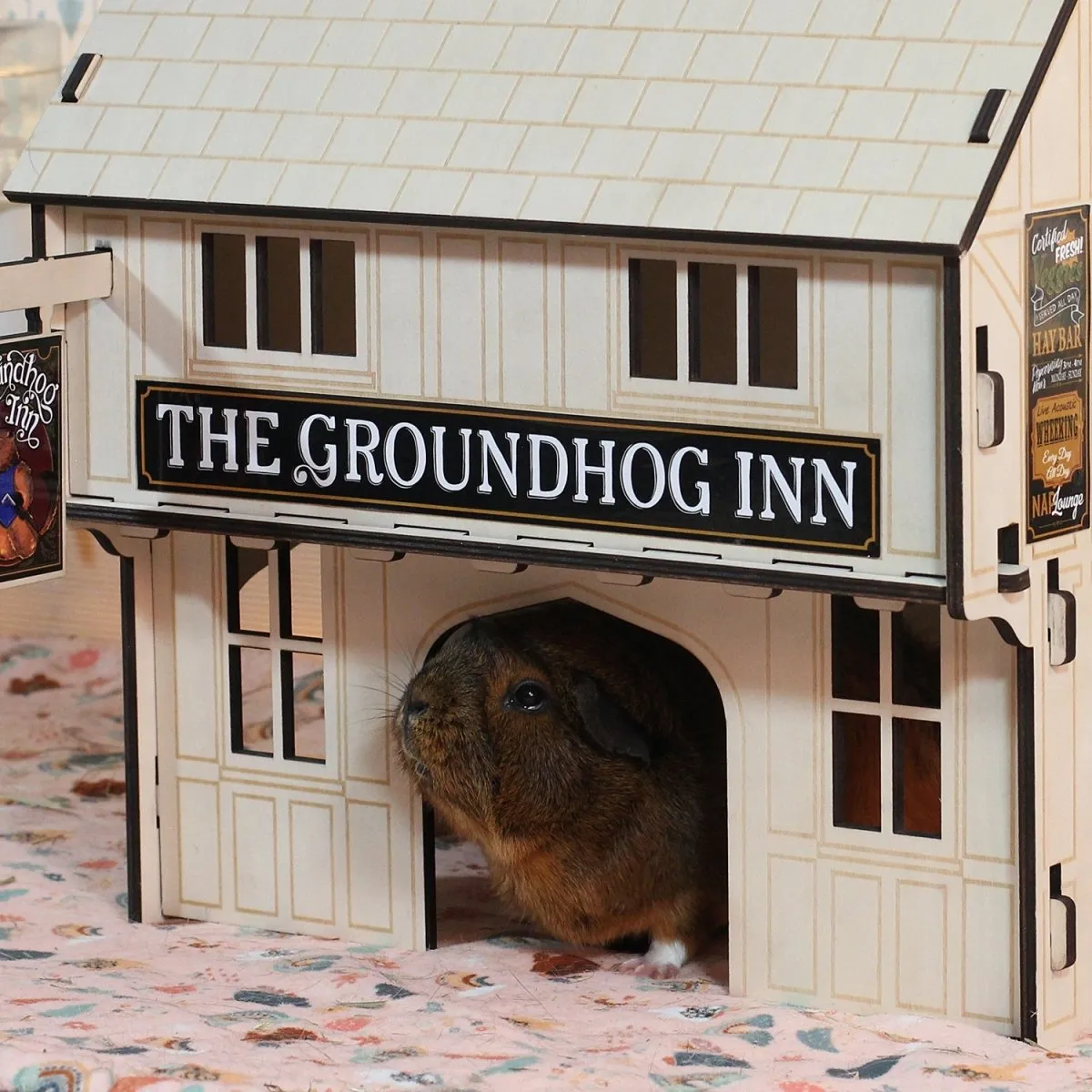 HayPigs Groundhog Inn schuilhuis hout knaagveilig dorpshuis