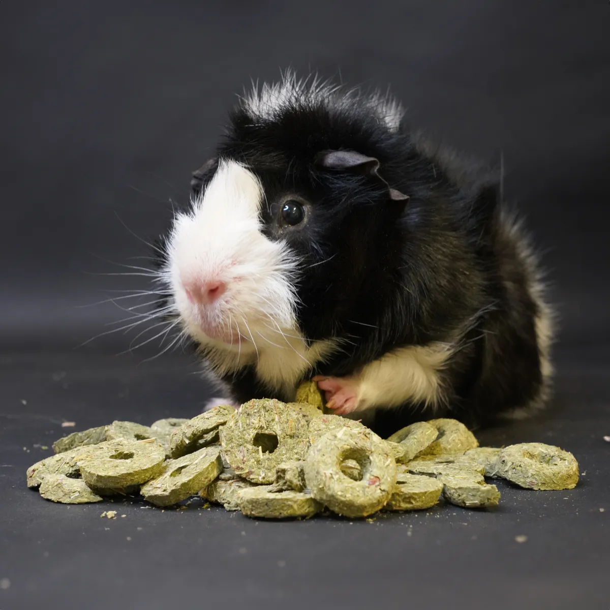 Jouw Cavia Naturals meadow loops snack vezelrijk