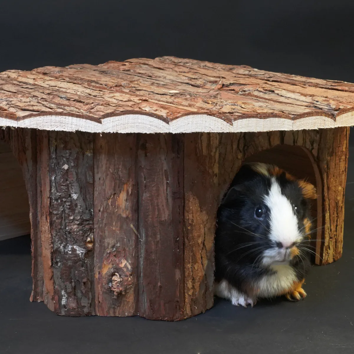 Jouw Cavia Hide Triangle schuilhuis M hout