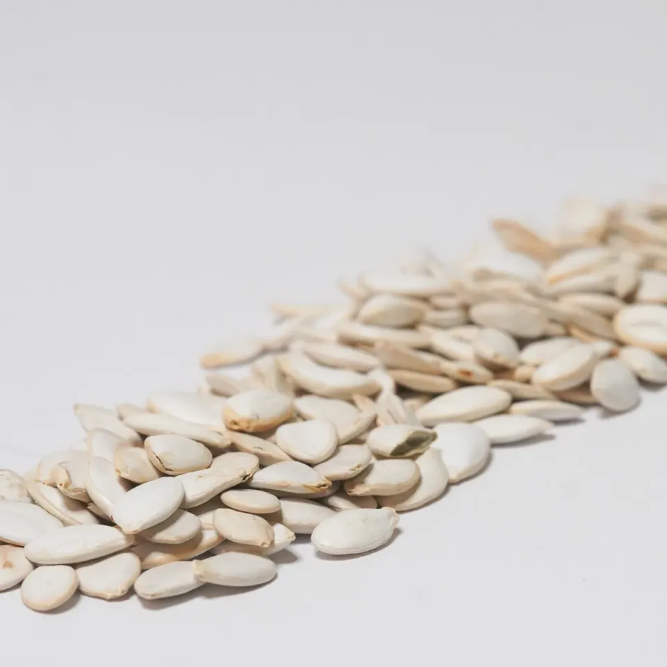 Jouw Konijn Originals Pompoenpitten snack natuurlijk