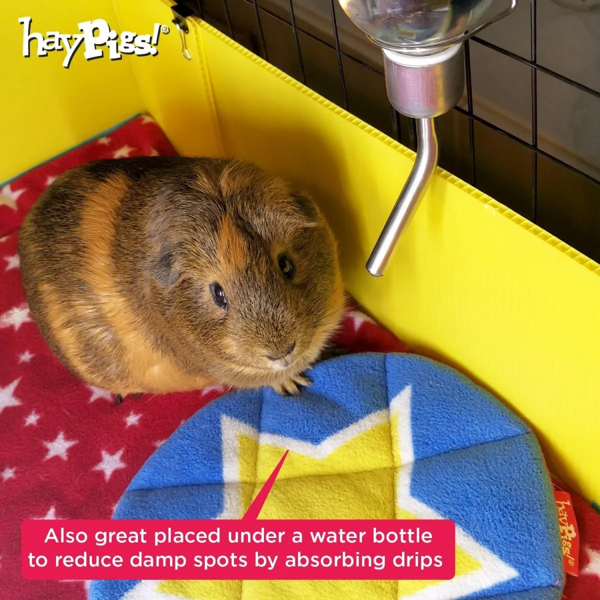HayPigs Circus Pee Pads plasmatten 2 stuks 22cm fleece