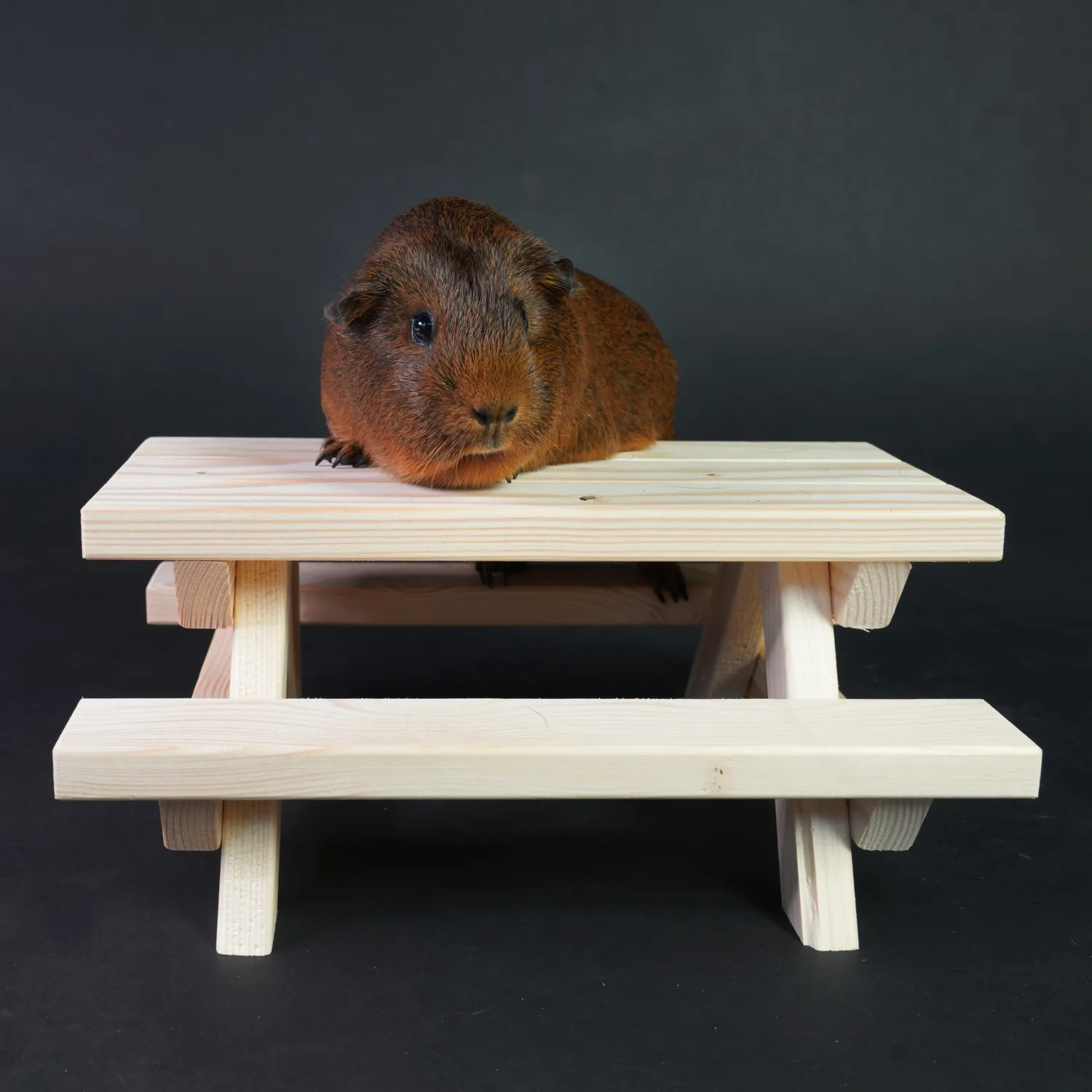 Jouw Cavia Picknicktafel schuilplek XS vurenhout