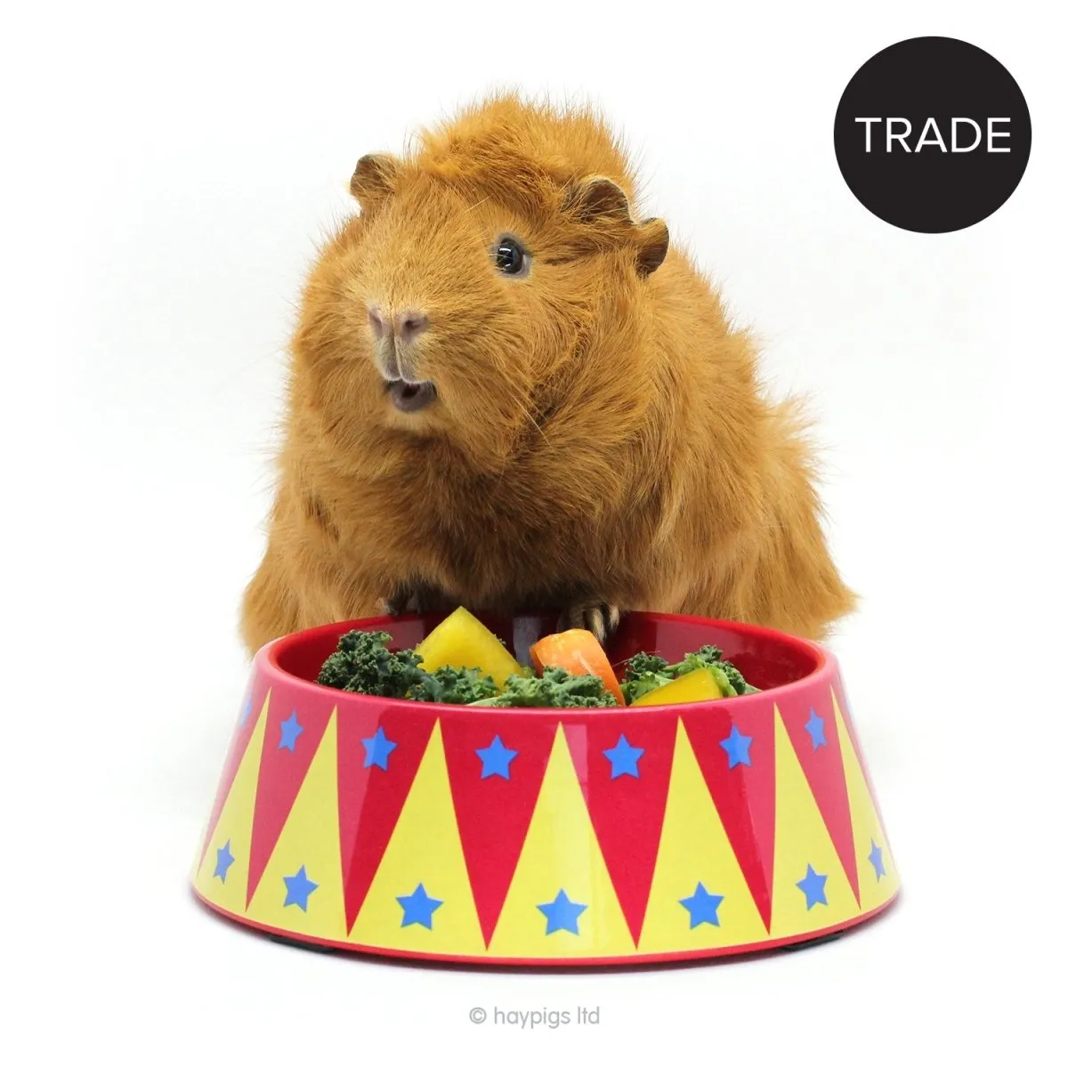 HayPigs Food Craving Tamer voerbak bamboevezel kantelvast 16cm