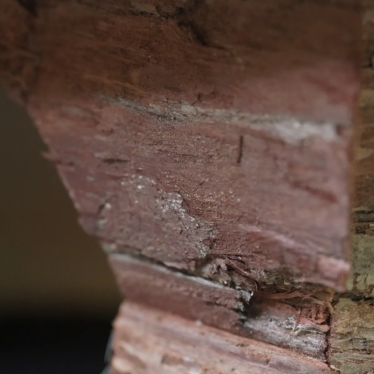 Jouw Cavia Hide Triangle S schuilhuis cavia hout knaagbaar