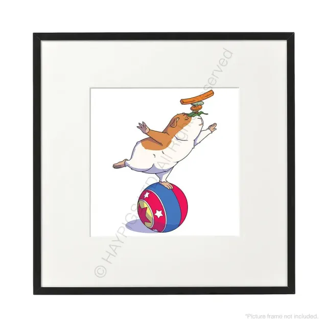 HayPigs Circus Treat Ball art prints 3 stuks 21cm