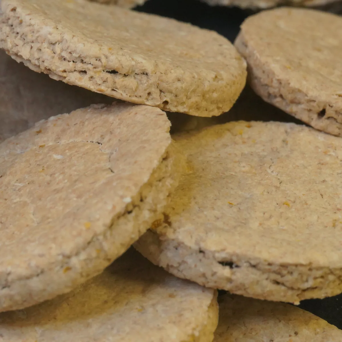 Jouw Cavia Chicory Charm cookies koekjes natuurlijk