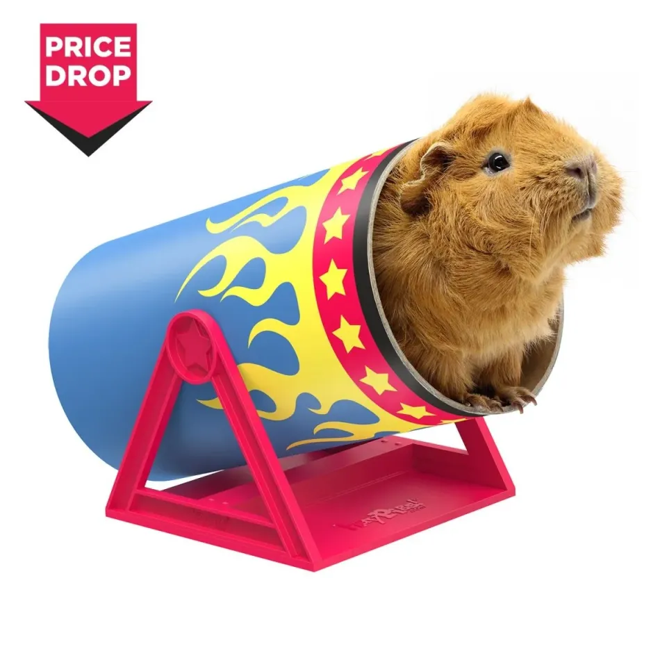 HayPigs Cavy Cannonball tunnel cavia 21,5cm karton kantel