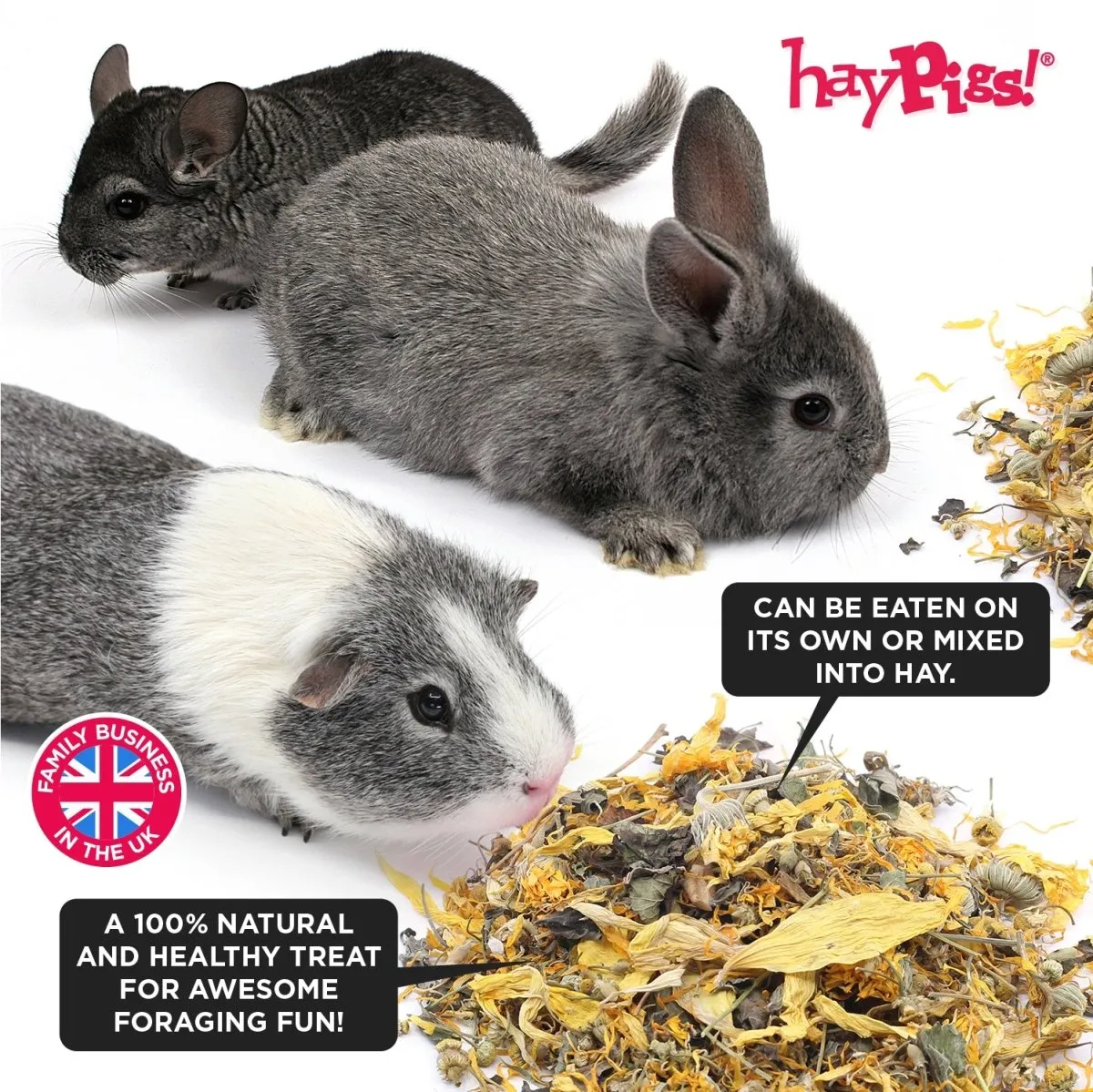 HayPigs Pig'n'Mix Lemon Furbutts snack 120g grote pot kruiden