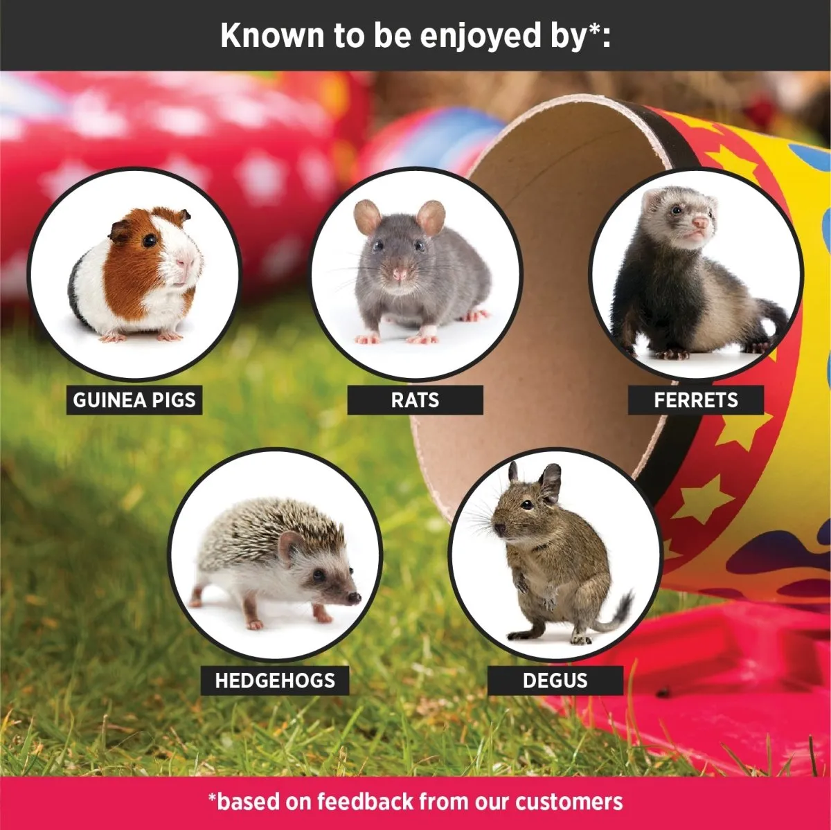 HayPigs Cavy Cannonball kanteltunnel 20 stuks knaagbaar