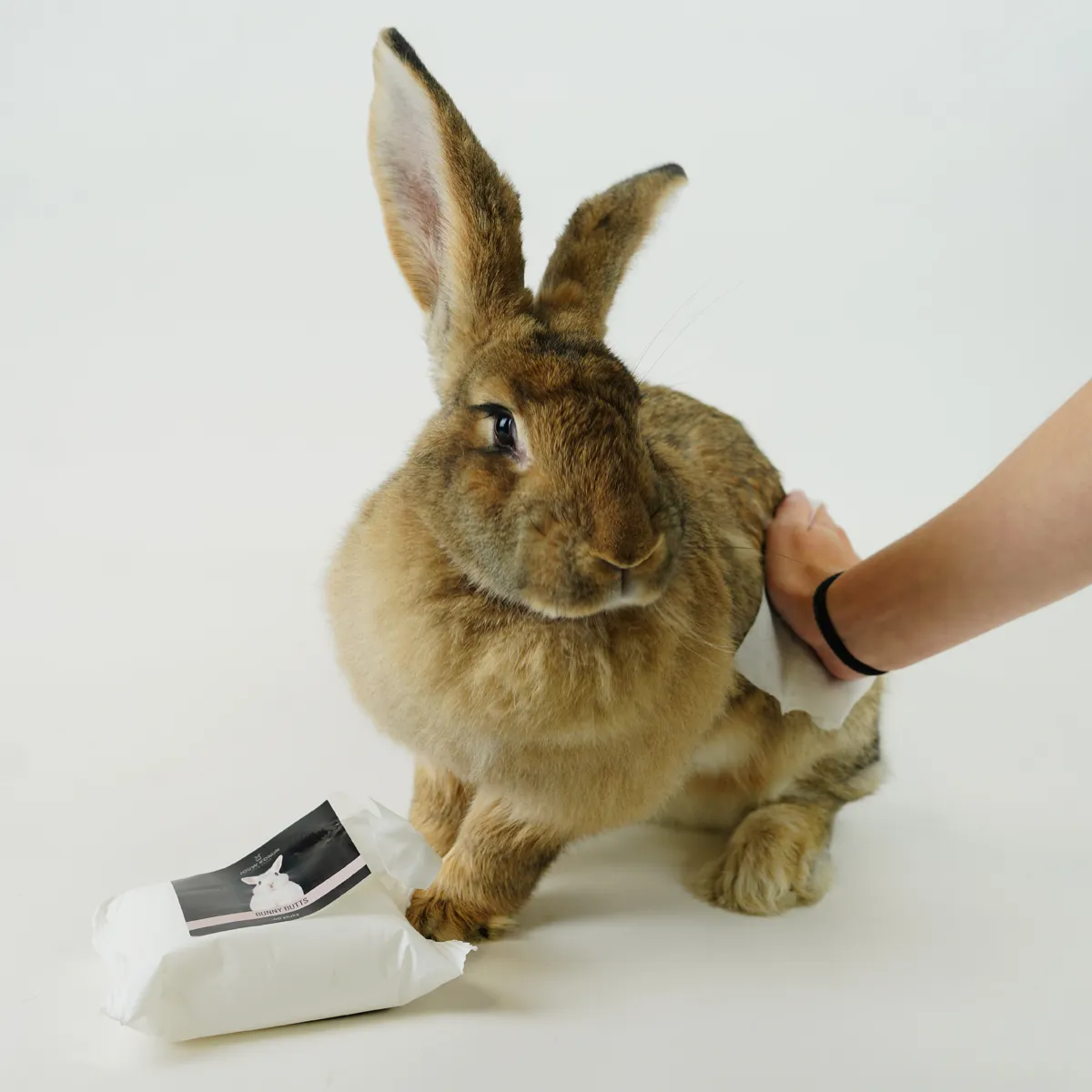 Jouw Konijn Originals Bunny Butts billendoekjes verzorgend