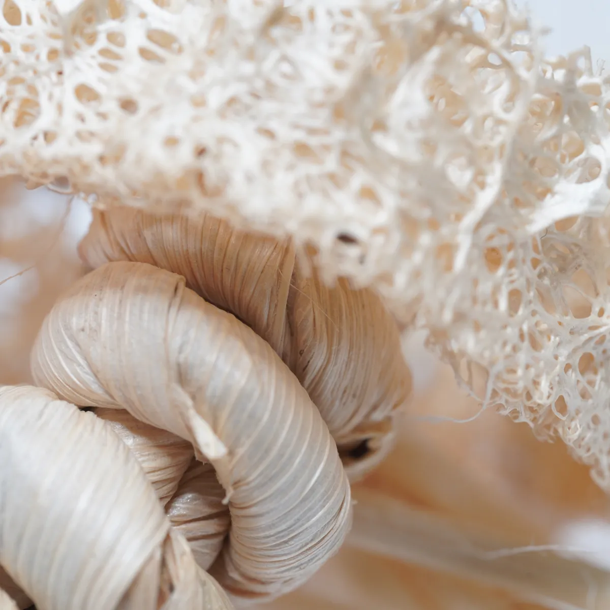 Jouw Konijn Originals Luffa Ringen knaagspeelgoed natuurlijk