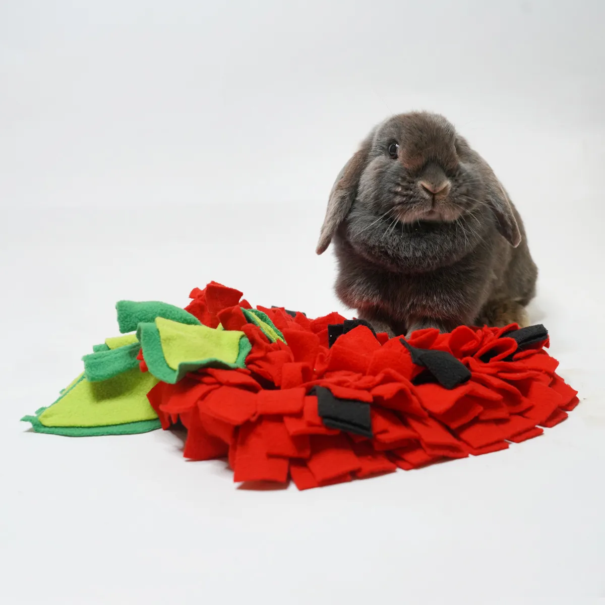 Jouw Konijn Originals Sniff & Find Strawberry snuffelmat aardbei antislip