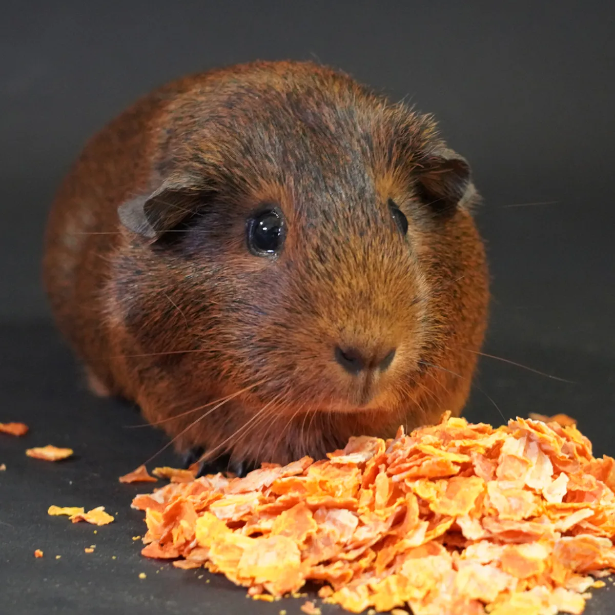 Jouw Cavia Wortelvlokken Snack Betacaroteen