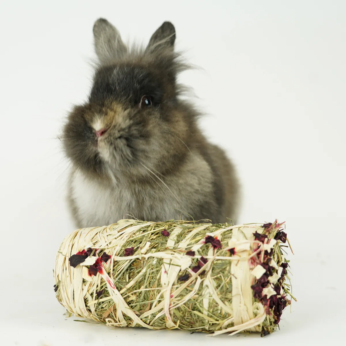 Jouw Konijn Originals Hay Roll konijnensnack biet pastinaak