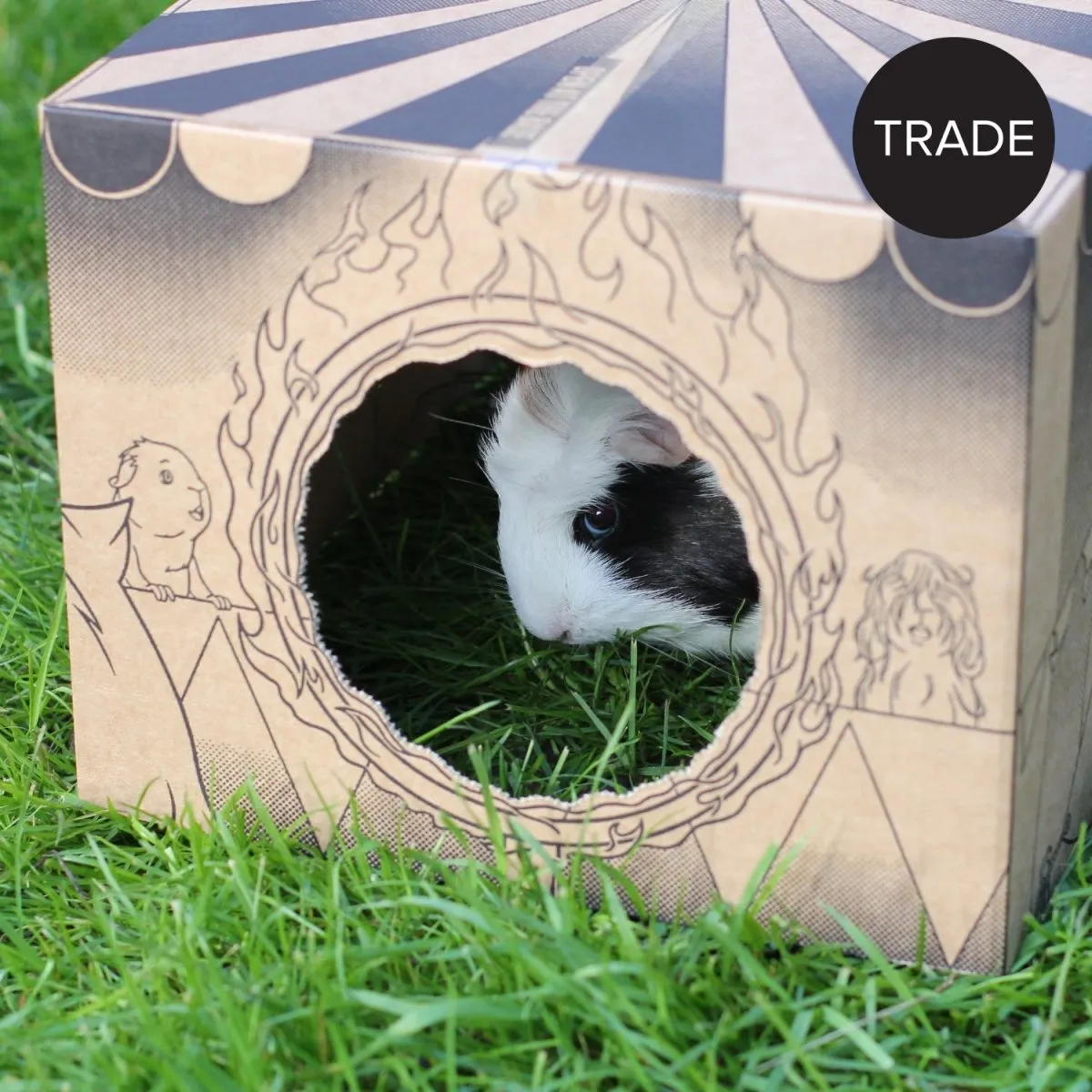 HayPigs Junior Playhouse schuilhuis karton 30cm