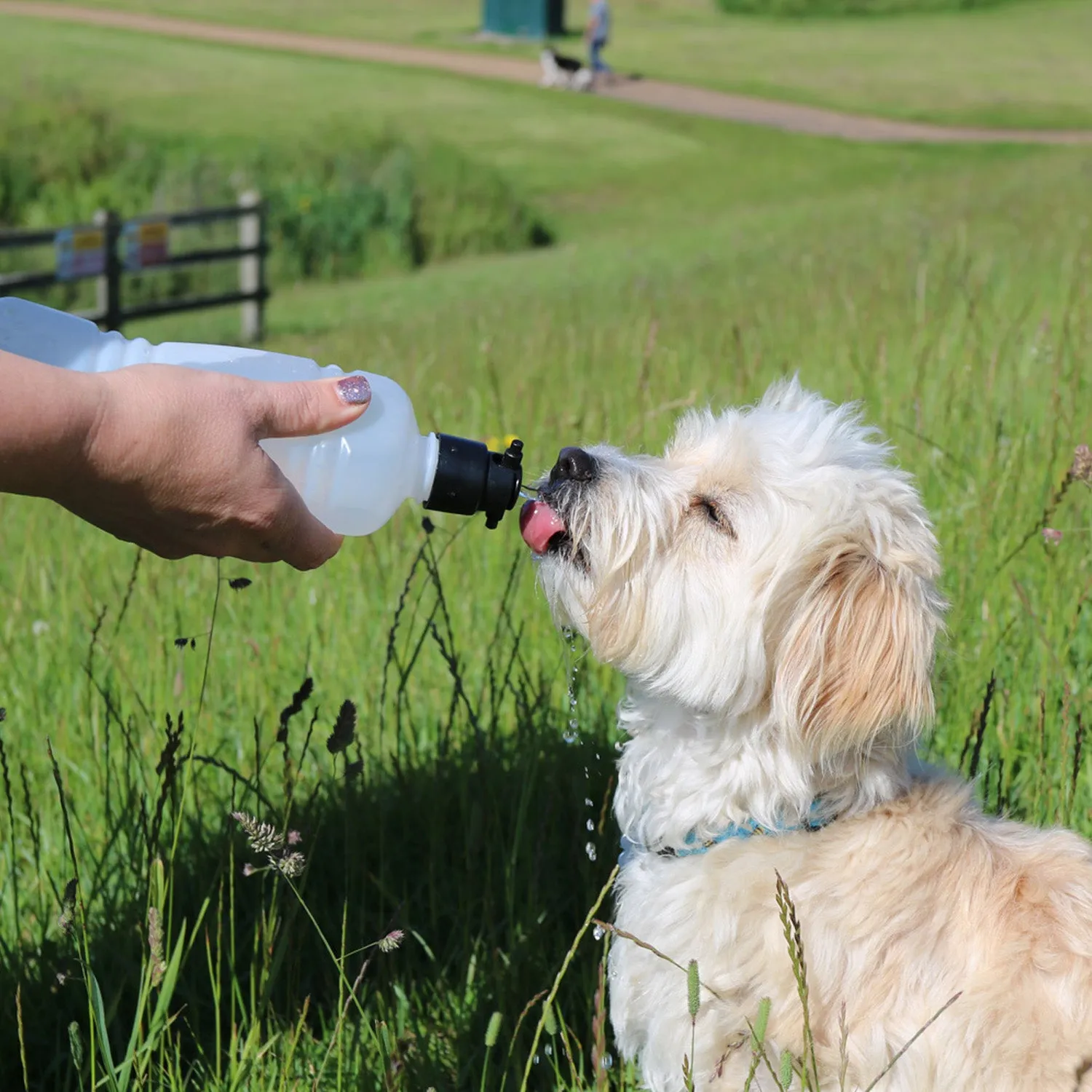 Nature First Travel drinkfles hond lekvrij met bakje