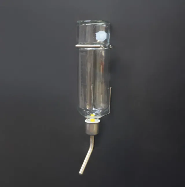 Jouw Cavia Waterfles glas M met maïskolfje