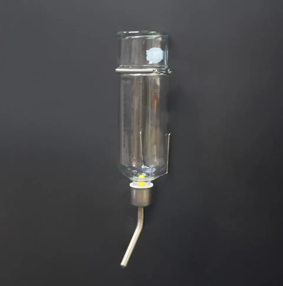 Jouw Cavia Waterfles glas M met maïskolfje