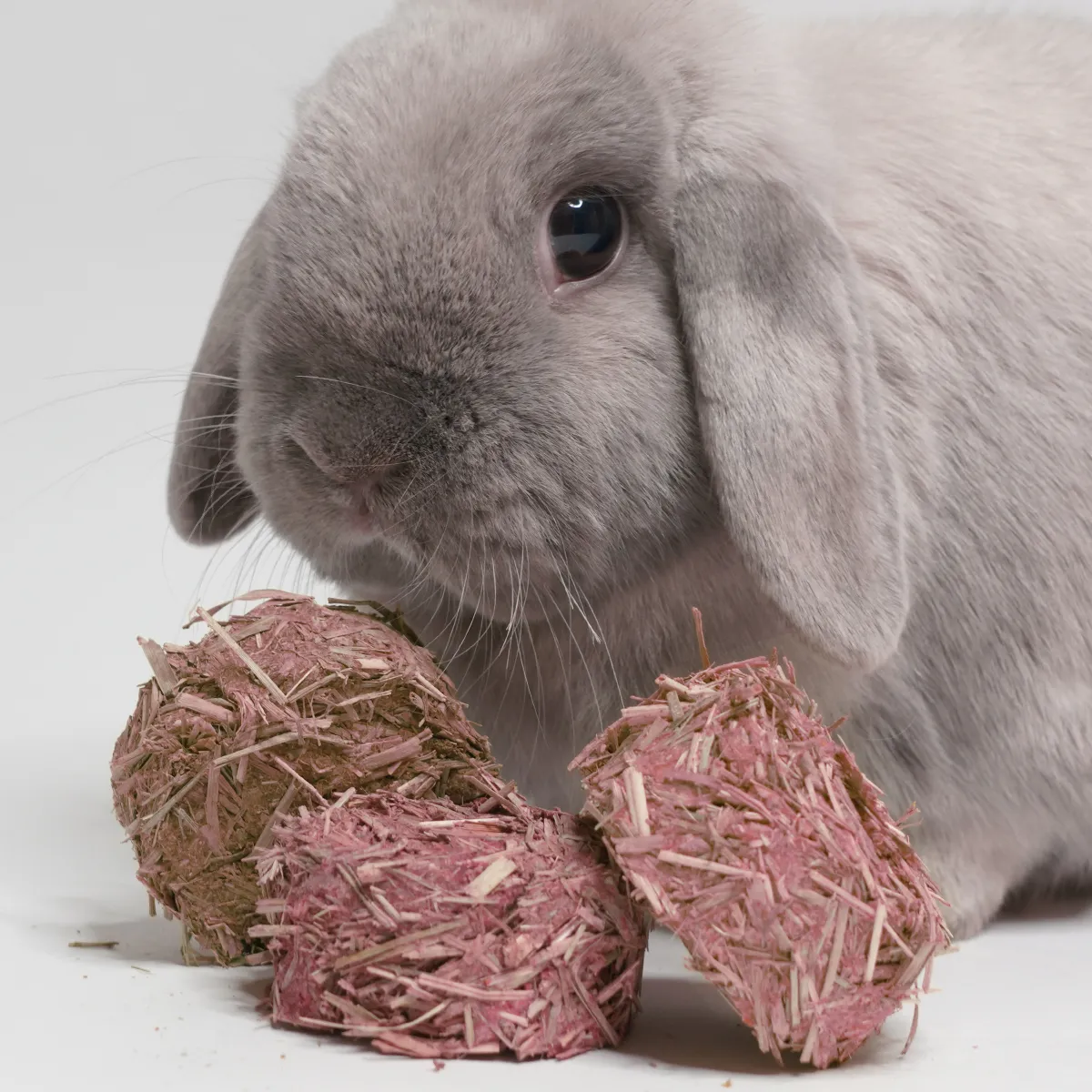 Jouw Konijn Originals Ruby snackbox konijnensnack natuurlijk