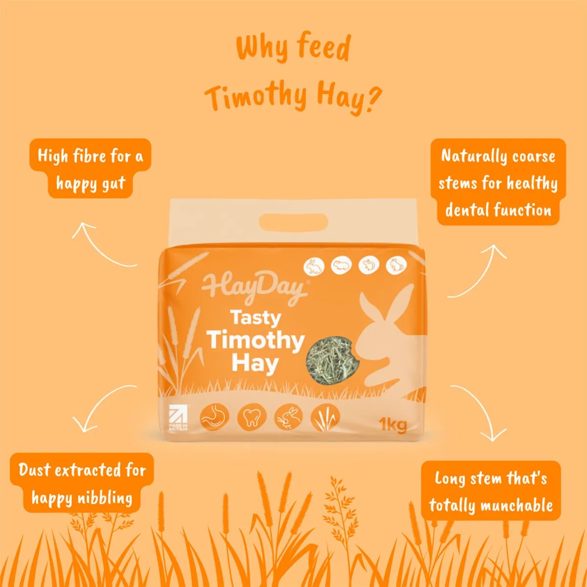 HayPigs HayDay Timothy hooi voor cavia's 1 kg